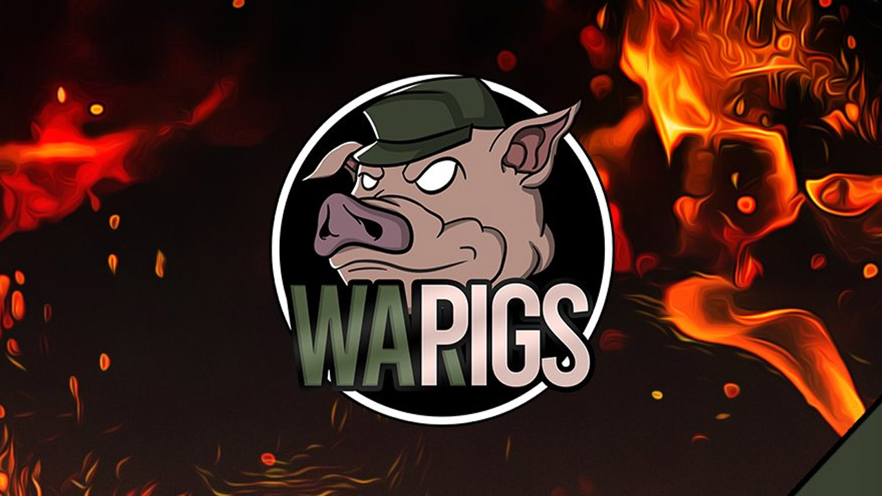 crypto war pigs investment