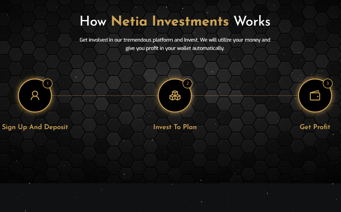 Unlock Financial Freedom with Netia Investments: A Stable and Reliable Platform for Future Growth